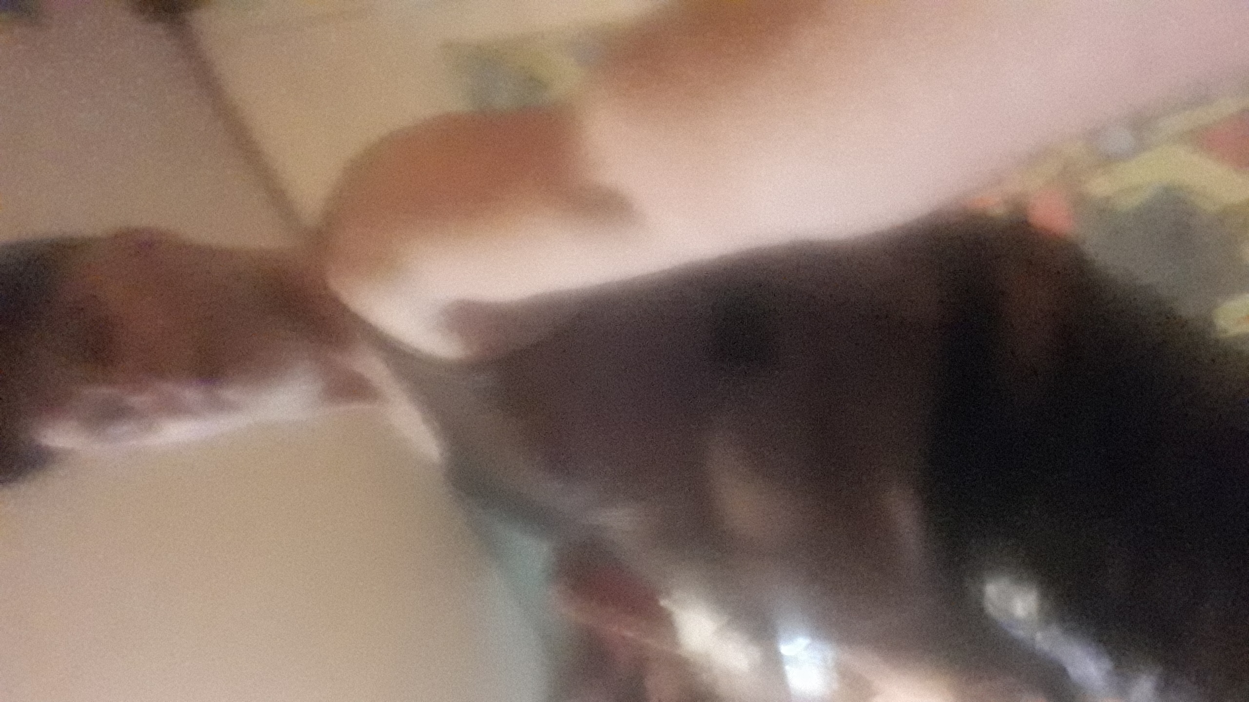 Welke Dominayevrouw Of Shemail Wil Mij Eens Flink Dominant Gevraagd