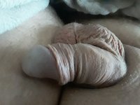 Voor Veel Te Vinden Man Zoekt Vrouw
