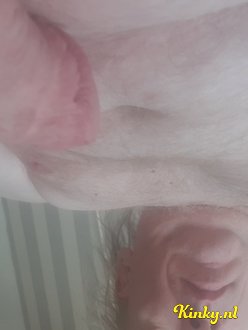 Gigolo Gigolo