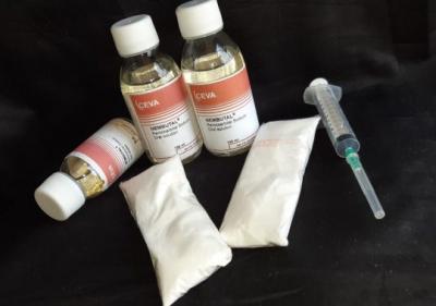 Koop Benzos , Ritalin 10mg , Diazepam 10mg , Oxycodon 10mg , Tramadol 100mg , Adderall 30mg Enz Zonder Recept ( WhatsApp : +31687397262 ). Betaling In Natura