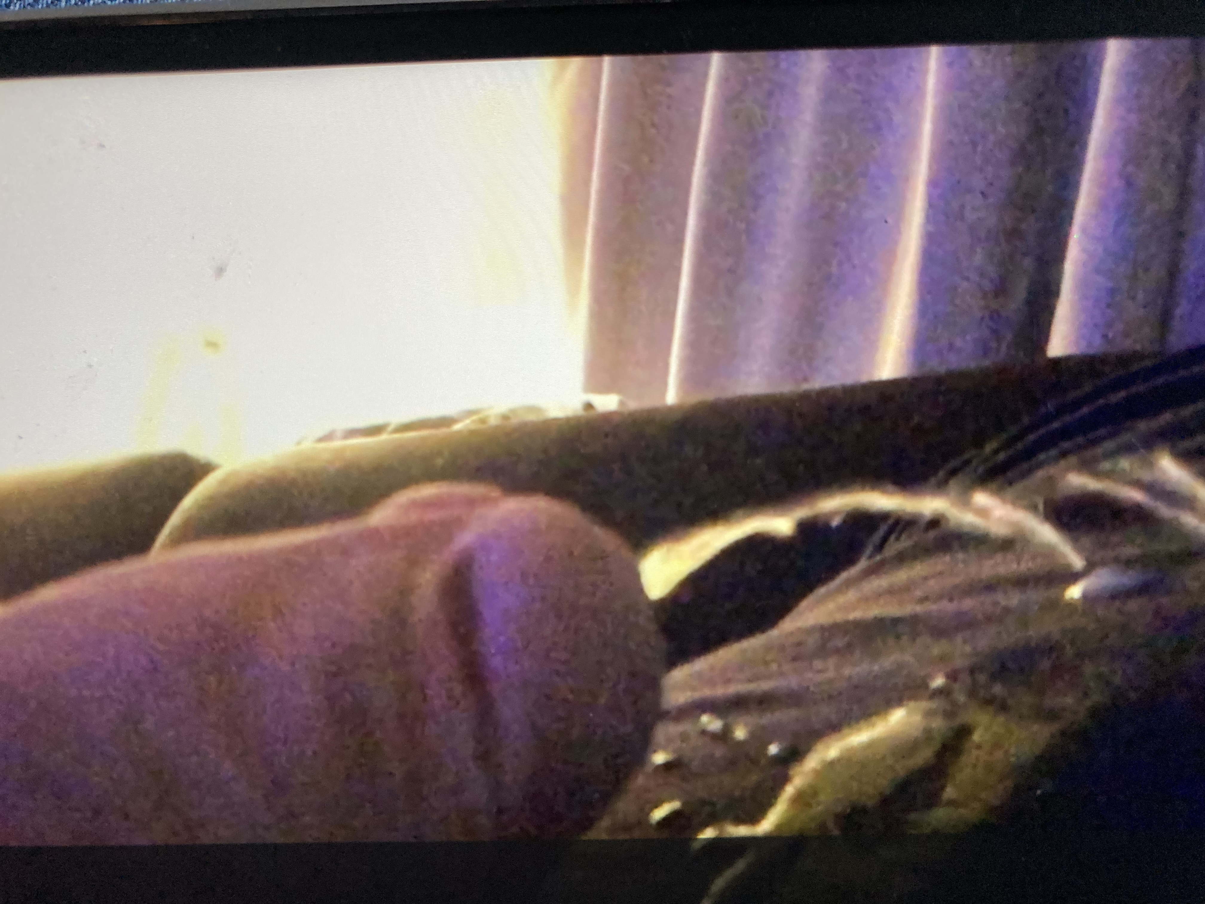 Altijd Zin Sexdate