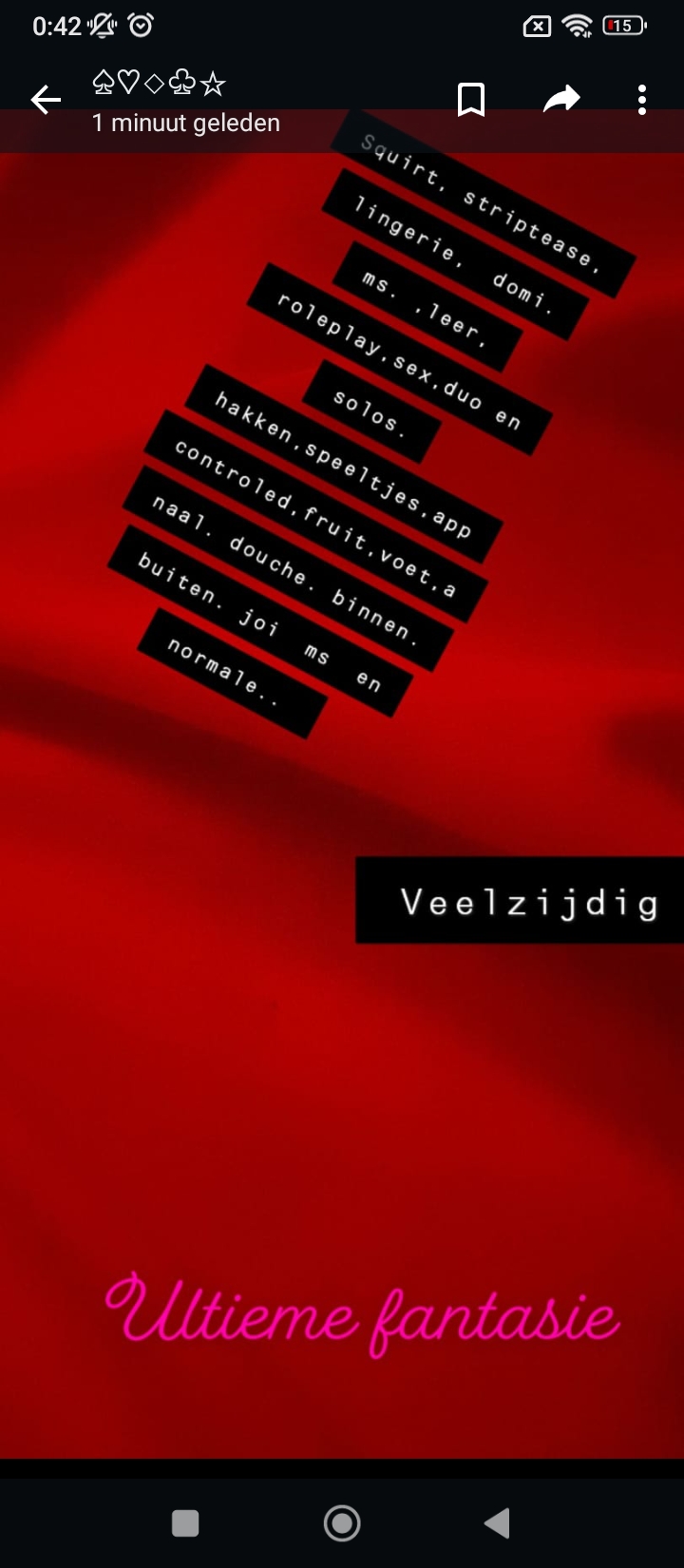 Gedragen Bh En Slipjes. Incl Verzenden Overige