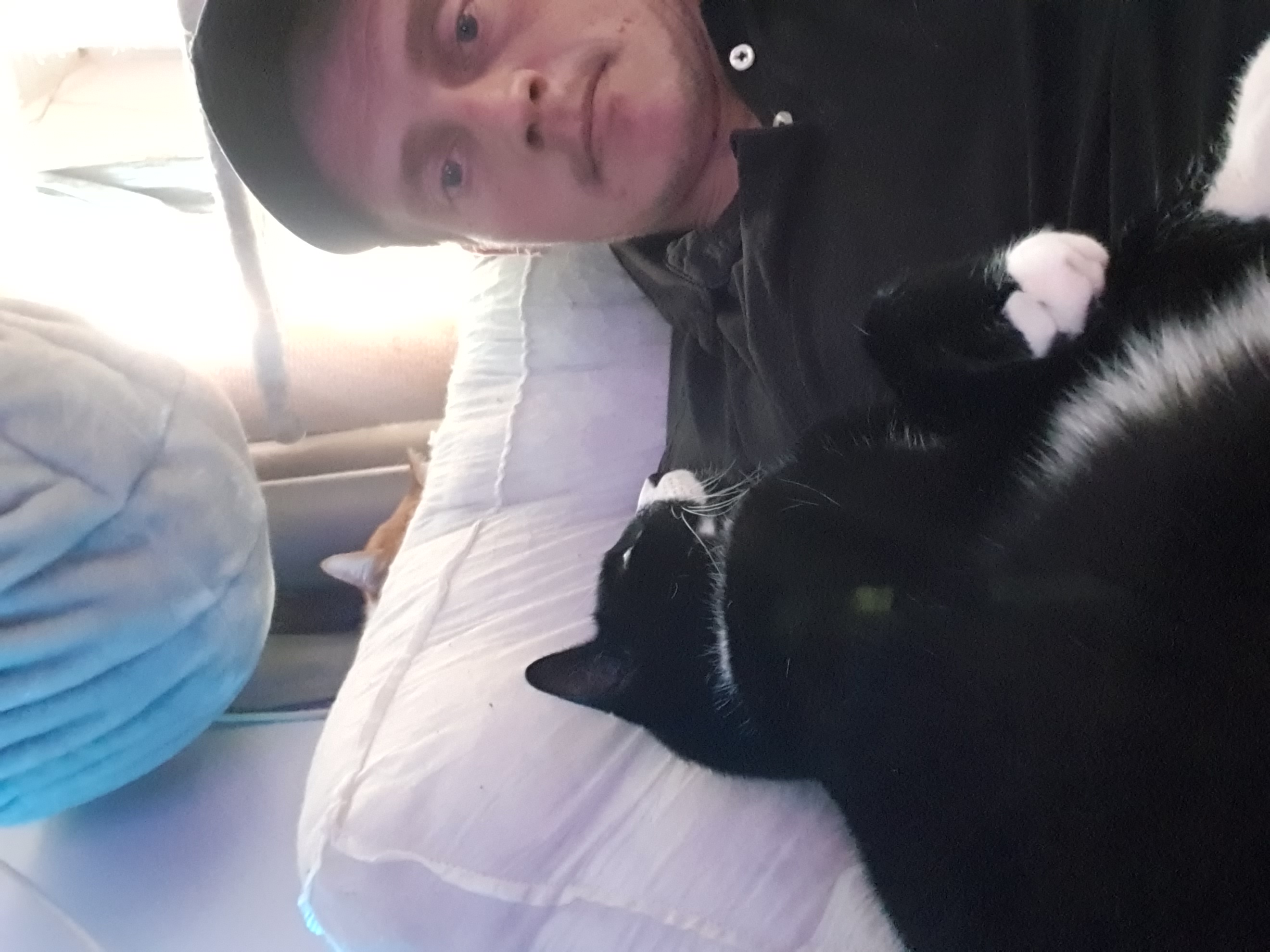 Sex Betaling In Natura