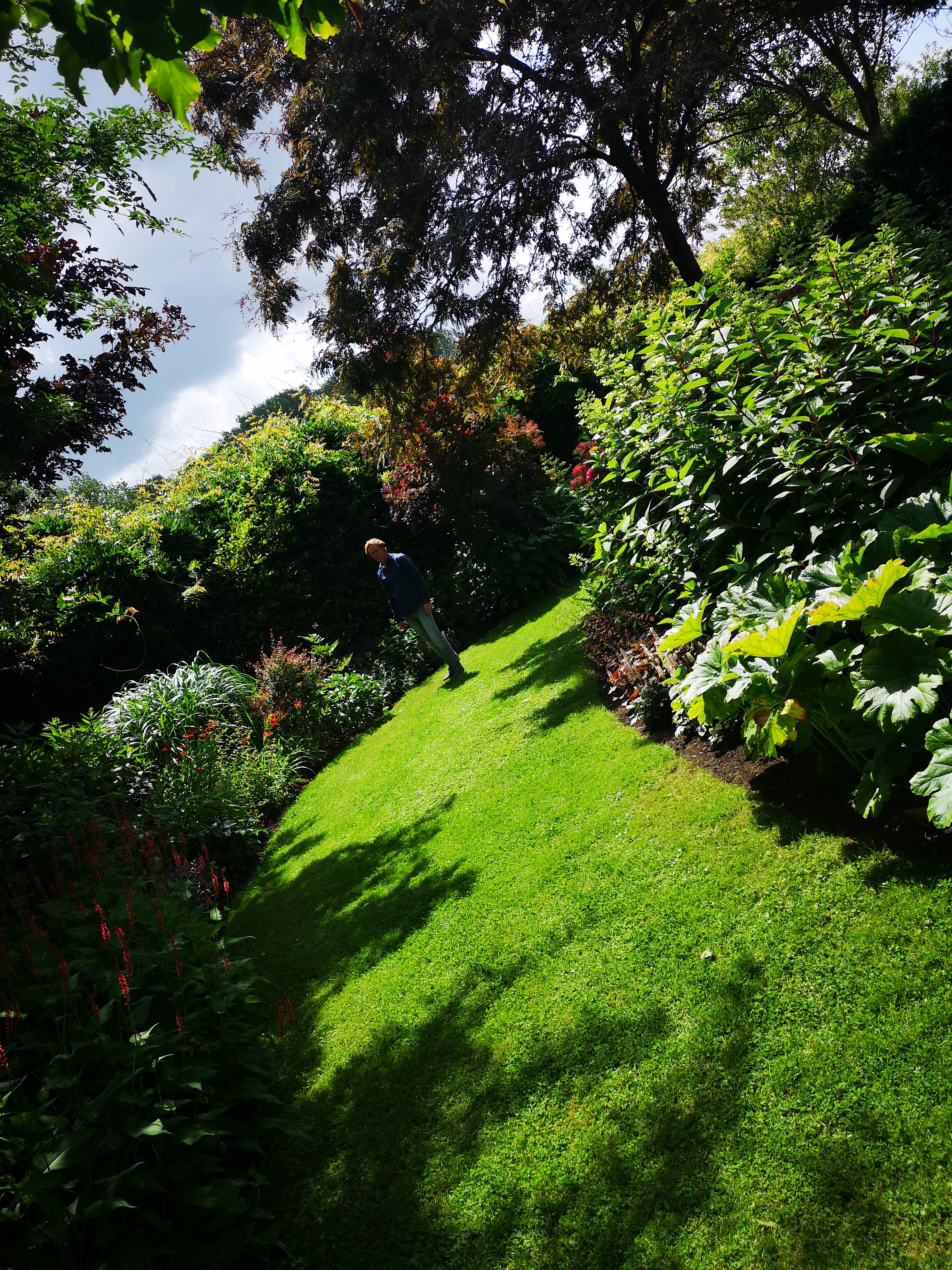 ?Gratis Ervaren Tuinhulp Klusjes & Onderhoud