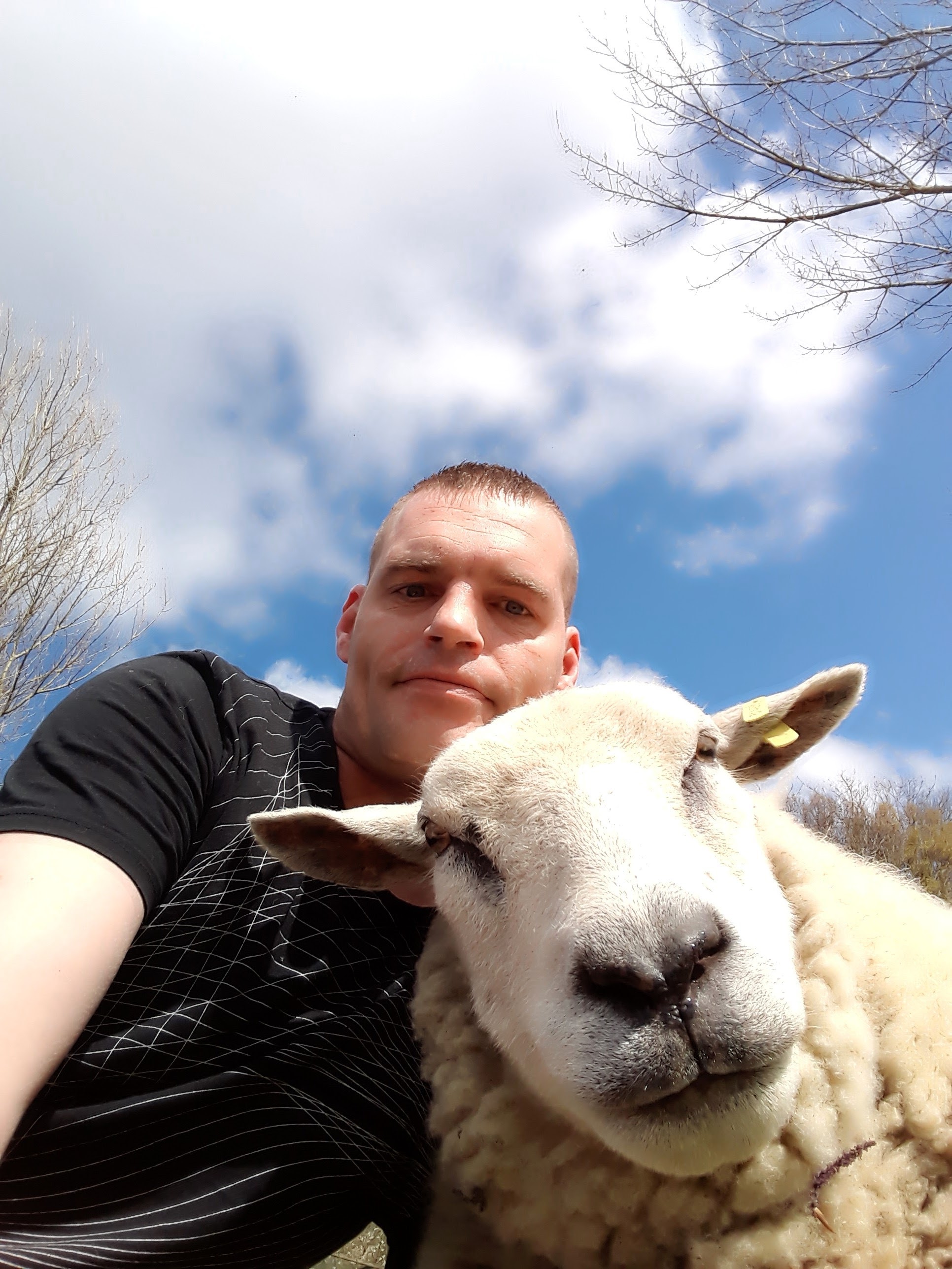 DISCREET SEXCONTACT GEZOCHT ! Man Zoekt Vrouw