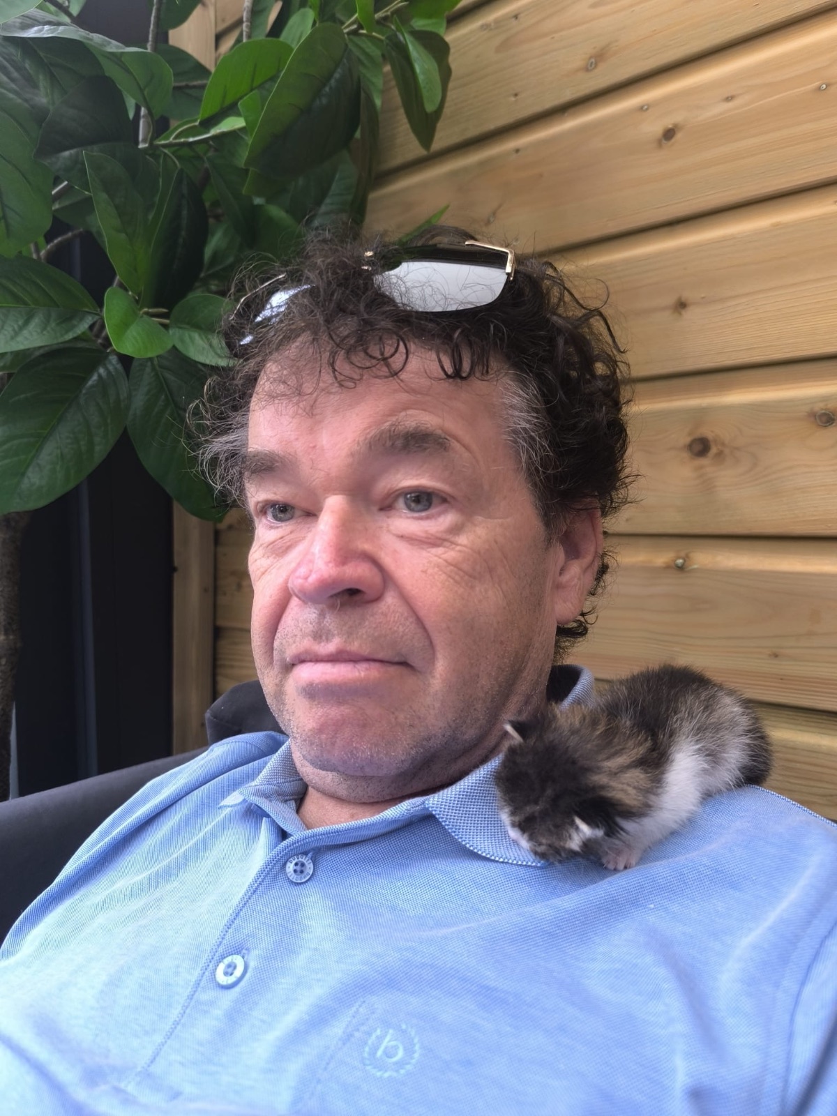 Frank1 Man Zoekt Vrouw