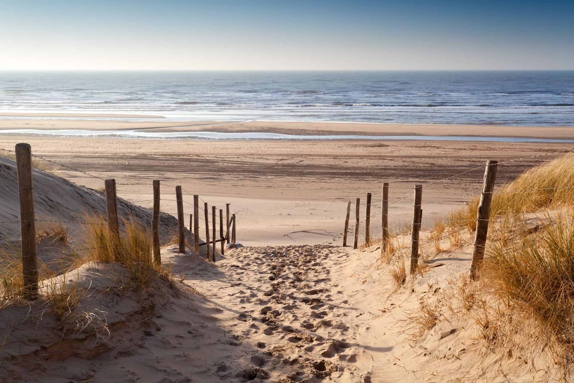 Zullen We Afspreken Op Het Naaktstrand..? Exhibitionisme