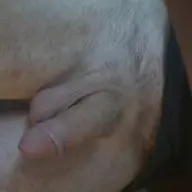 Man 51 Zoekt Sex Met Vrouw Man Zoekt Vrouw