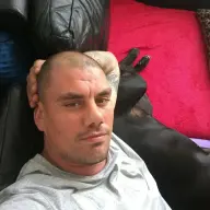 Sex Neuken