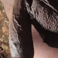 Ik Ben Opzoek Naar Gratis Sex Met Jou. Man Zoekt Vrouw