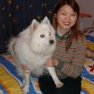 Zo Heb Jij Wel Trek In (een) Chinese? ? Vrouw Zoekt Man